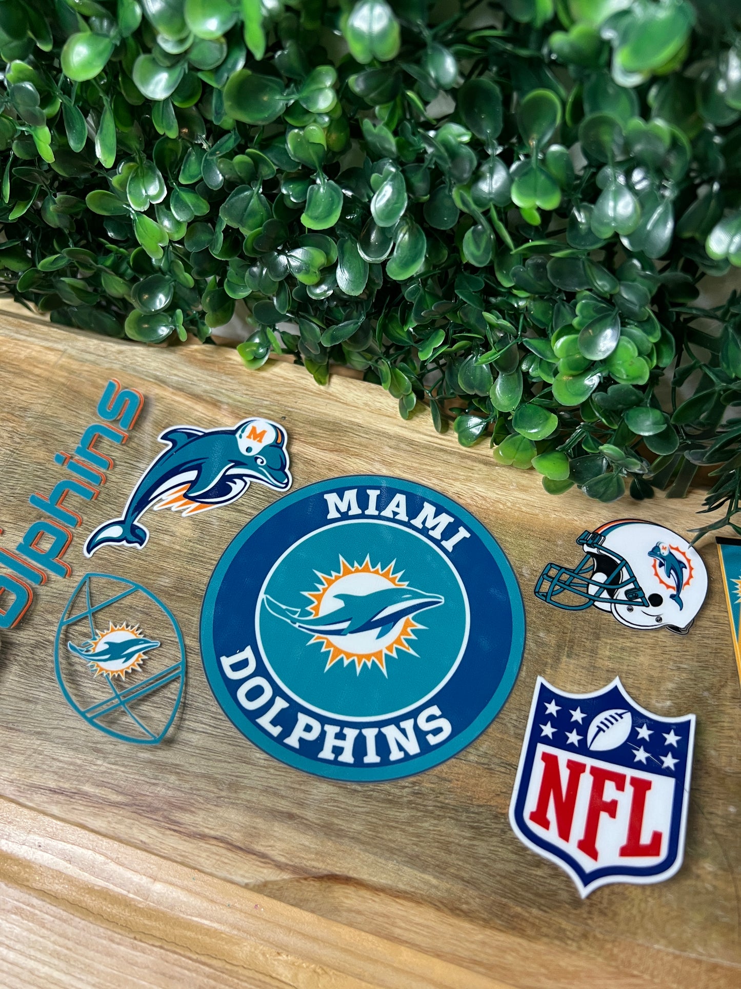#170 Dolphins