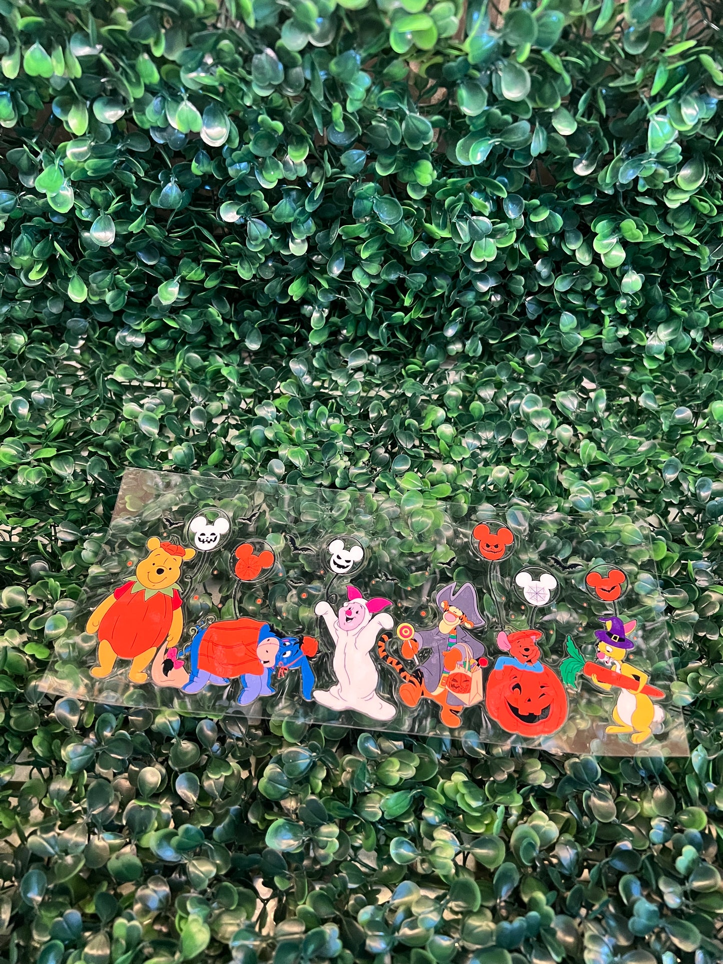 Pooh