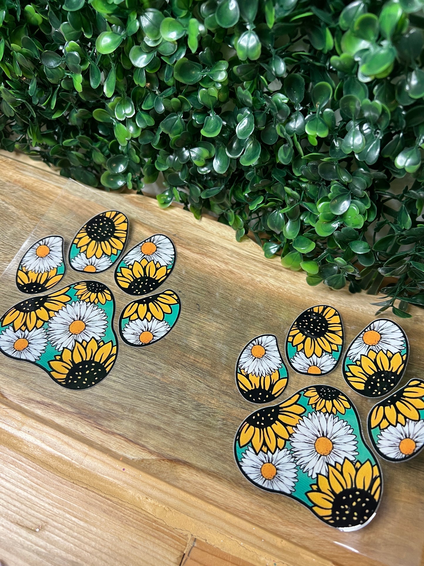 #149 Sunflower Paws