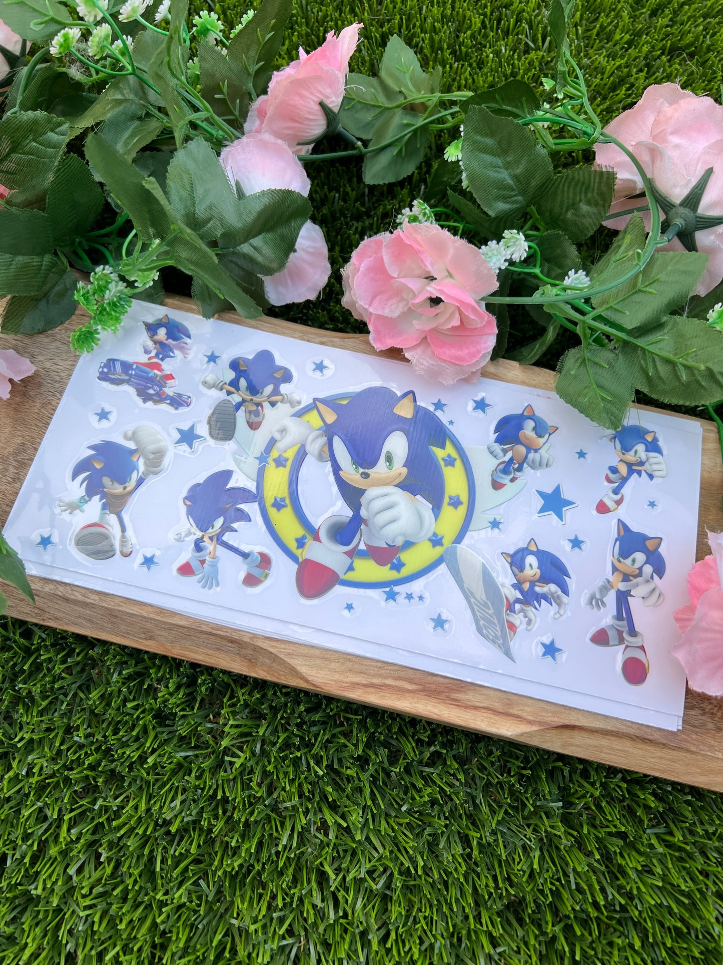 #H79 Sonic