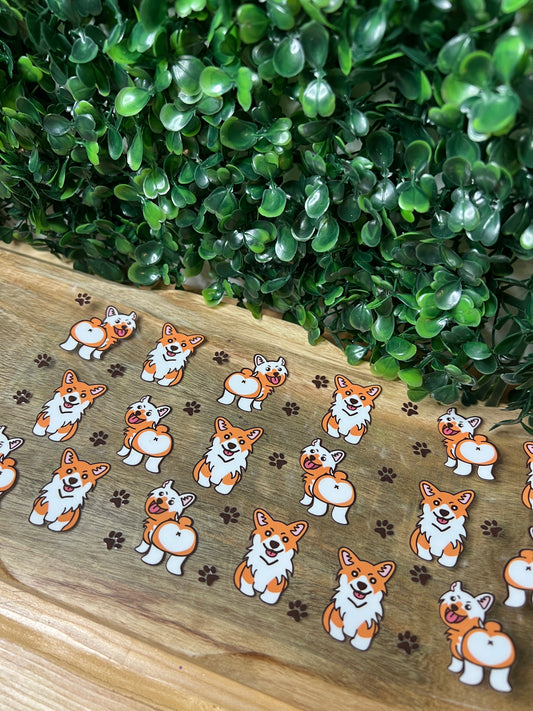 #151 Corgi