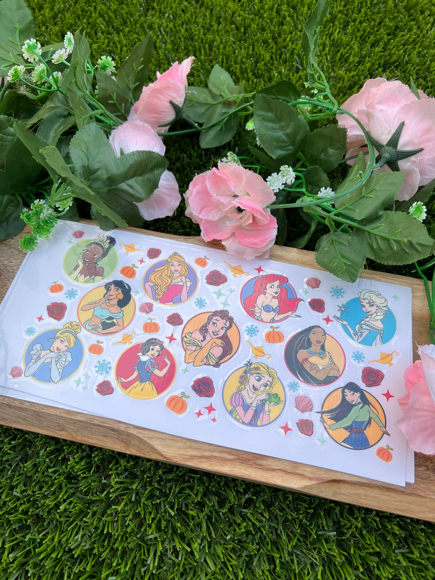 Holographic Princesses